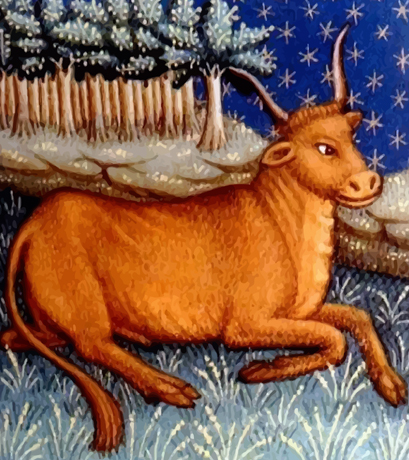 Taurus